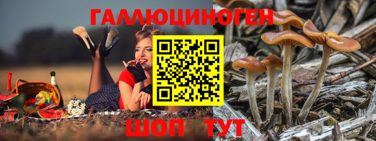 Галлюциногенные грибы мицелий  Вход с VPN  Уссурийск  Галлюциногенные грибы мицелий 